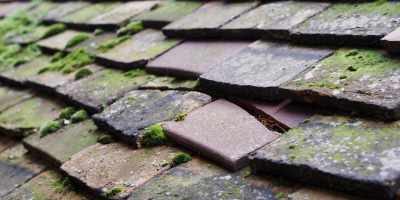 Swingbrow roof repair costs